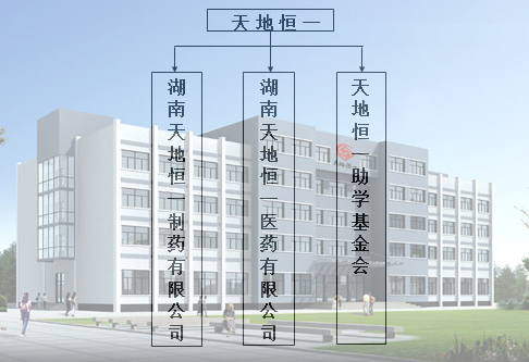 热水浸没式汽水混合加热器,天地恒一