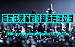 石家庄天诚阀门浸没式蒸汽加热器项目